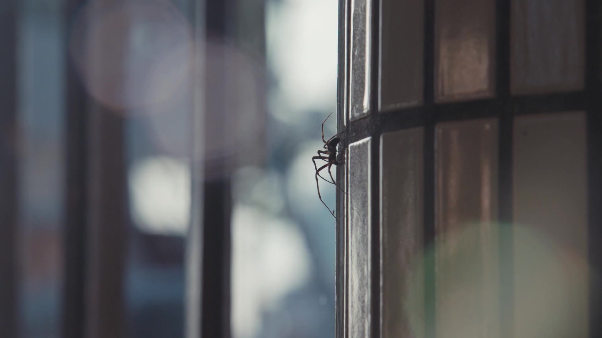 Gemeente Rotterdam - Maastunnel